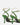 FABI FD89231307AGAVE