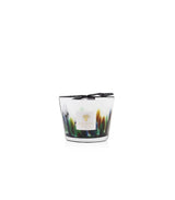 Candela "Rainforest Amazonia" Max 10 MAX10RFA BAOBAB COLLECTION