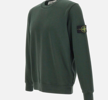 Felpa in cotone biologico 6100060S0051 V005E STONE ISLAND
