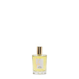 Fragranza ambiente spray "Borgo degli Agrumi" 100ml AG100STFU 100ML TEATRO FRAGRANZE UNICHE FIRENZE
