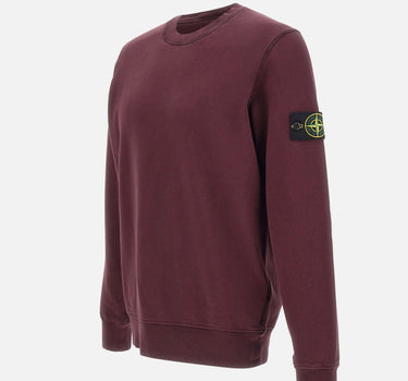 Felpa in cotone biologico 6100060S0051 V0017 STONE ISLAND