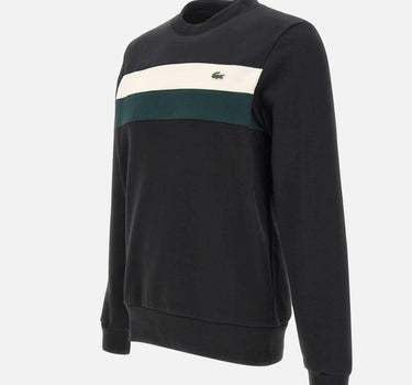Felpa in cotone SH5498 6XH LACOSTE