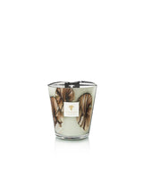 Candela "Oceania Anangu" Max16 MAX16OAN BAOBAB COLLECTION