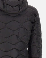 "Camelia" 25WBLDC03095 006047999EI BLAUER