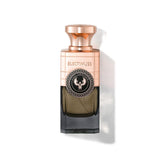 Pure Parfum "Vici Leather" 100ml VICILEATHER 100ML ELECTIMUSS