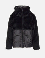 "Fanevil" 25WBLDC02178 006646999 BLAUER