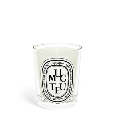 Candela ''Muguet'' 190 gr 0DIP1BMG 190GR DIPTYQUE