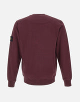 Felpa in cotone biologico 6100060S0051 V0017 STONE ISLAND