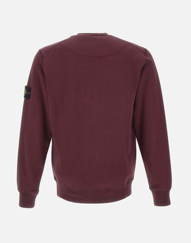 Felpa in cotone biologico 6100060S0051 V0017 STONE ISLAND