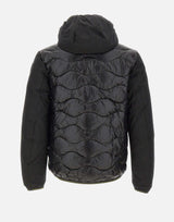 "Albert" 25WBLUC08078 006355999 BLAUER