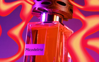 Micodelirio Nasomatto