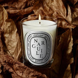 DIPTYQUE Candela "Narguilé" 190gr WHITE Unisex 