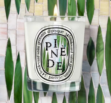 DIPTYQUE Candela "Pinède Limited Edition Summer 2026" 190gr WHITE Unisex 