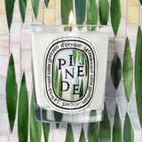 DIPTYQUE Candela "Pinède Limited Edition Summer 2026" 190gr WHITE Unisex 
