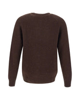 CARHARTT WIP Maglia  "Anglistic" BROWN Uomo 