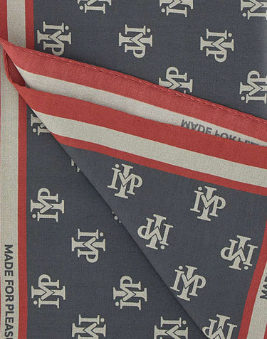 IMP MADE FOR PLEASURE Foulard con logo GREY Uomo 
