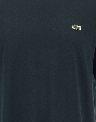 LACOSTE T-shirt in cotone GREEN Uomo 