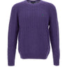 POLO RALPH LAUREN Maglia in lana e cashmere a trecce PURPLE Uomo 