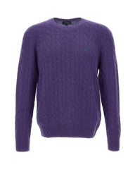 POLO RALPH LAUREN Maglia in lana e cashmere a trecce PURPLE Uomo 