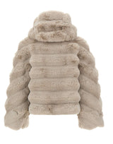 RRD Pelliccia "Court K Hood" GREY Donna 