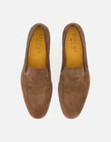 DOUCAL'S Mocassini Penny in pelle scamosciata BROWN Uomo 