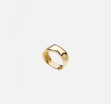Anello "Roots" RBR01 G14 FERSERA 