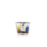 Candela "Rainforest Mayumbe" Max10 MAX10RFM  BAOBAB COLLECTION 