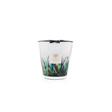 Candela "Rainforest Amazonia" Max16 MAX16RFA  BAOBAB COLLECTION 