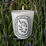 Candela "Feuille de Lavande" 190gr 0DIP1BFL 190GR DIPTYQUE 