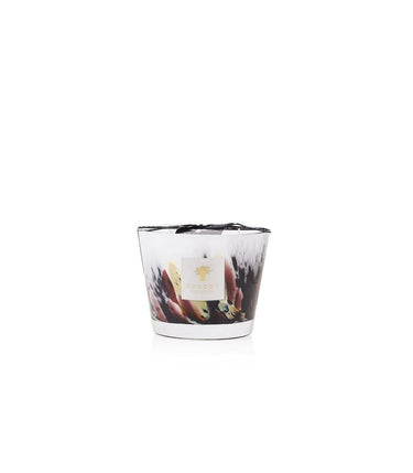 Candela "Rainforest Tanjung" Max 10 MAX10RFT  BAOBAB COLLECTION 