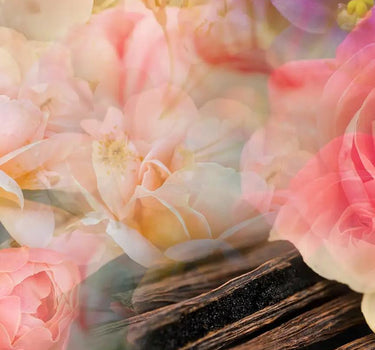 Refill Fragranza Ambiente "Petali di Rose" 500ml FRV0030E 500ML DR.VRANJES FIRENZE 