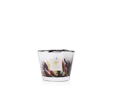 Candela "Rainforest Tanjung" Max 10 MAX10RFT  BAOBAB COLLECTION 
