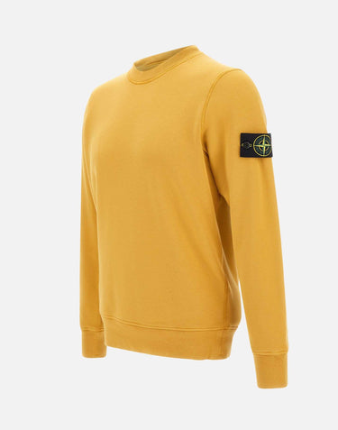 Felpa in cotone biologico 6100060S0051 V0034 STONE ISLAND 
