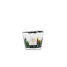 Candela "Rainforest Amazonia" Max 10 MAX10RFA  BAOBAB COLLECTION 