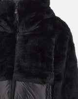 "Fanevil" 25WBLDC02178 006646999 BLAUER 