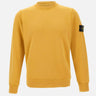 Felpa in cotone biologico 6100060S0051 V0034 STONE ISLAND 