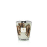 Candela "Oceania Anangu" Max16 MAX16OAN  BAOBAB COLLECTION 