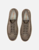 "Godfrey" MBCD21571TARCAOL E81 SANTONI 