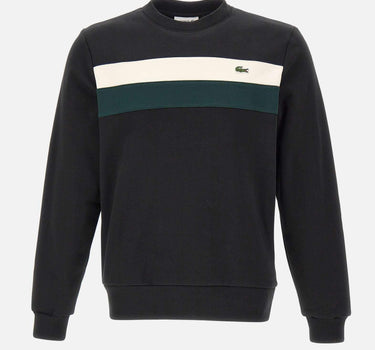 Felpa in cotone SH5498 6XH LACOSTE 