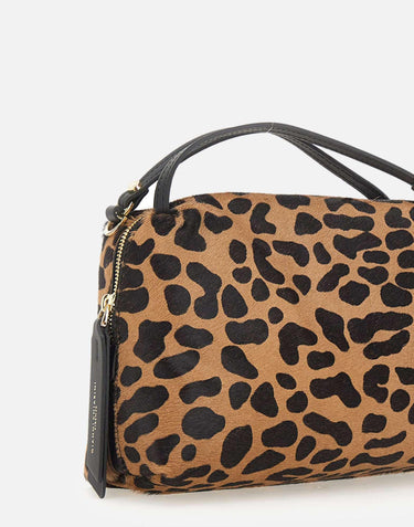 "Alifa" BS8148 CAVPLLEONERO GIANNI CHIARINI 