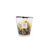 Candela "Rainforest Mayumbe" Max16 MAX16RFM  BAOBAB COLLECTION 