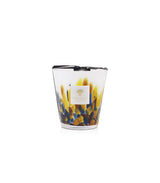 Candela "Rainforest Mayumbe" Max16 MAX16RFM  BAOBAB COLLECTION 