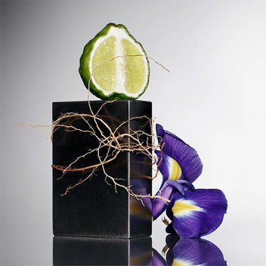 Eau De Toilette "Eau de Grey Vetiver" 50ml T3S3010000 50ML TOM FORD 