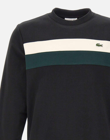 Felpa in cotone SH5498 6XH LACOSTE 