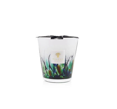 Candela "Rainforest Amazonia" Max16 MAX16RFA  BAOBAB COLLECTION 