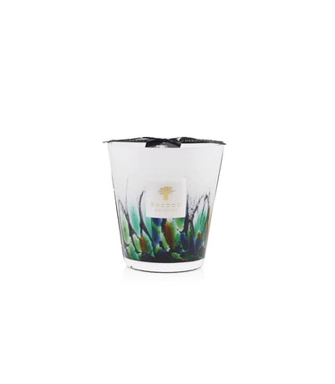 Candela "Rainforest Amazonia" Max16 MAX16RFA  BAOBAB COLLECTION 