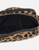 "Alifa" BS8148 CAVPLLEONERO GIANNI CHIARINI 