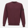 Felpa in cotone biologico 6100060S0051 V0017 STONE ISLAND 
