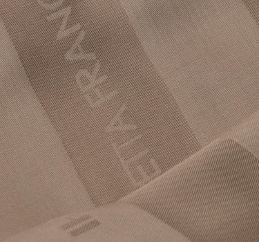 Foulard in viscosa e modal con righe jacquard SC15F61E2 229 ELISABETTA FRANCHI 