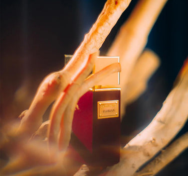 Extrait de Parfum "Florian" 100ml DGP00717 100ML GRITTI 